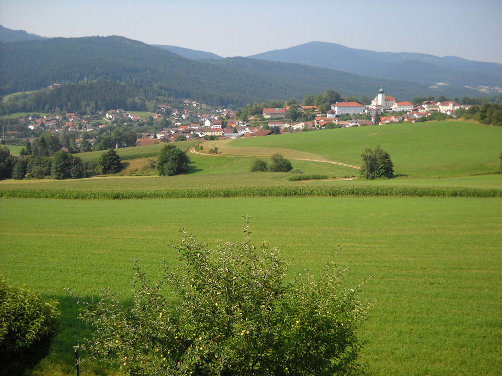 DSCN0199