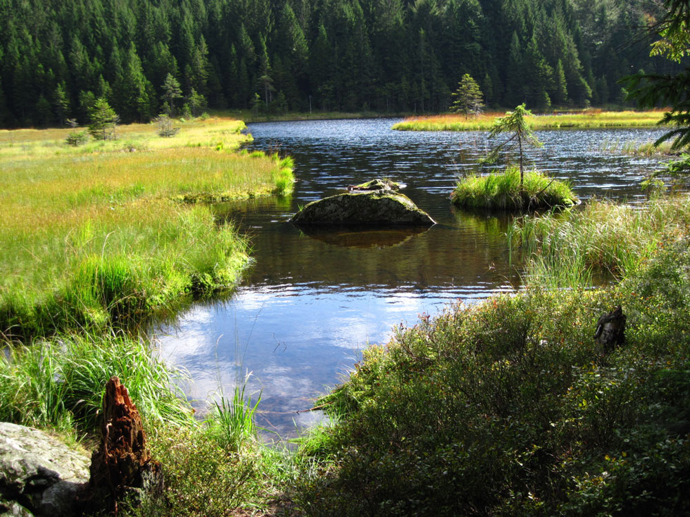 Kl.Arbersee-1