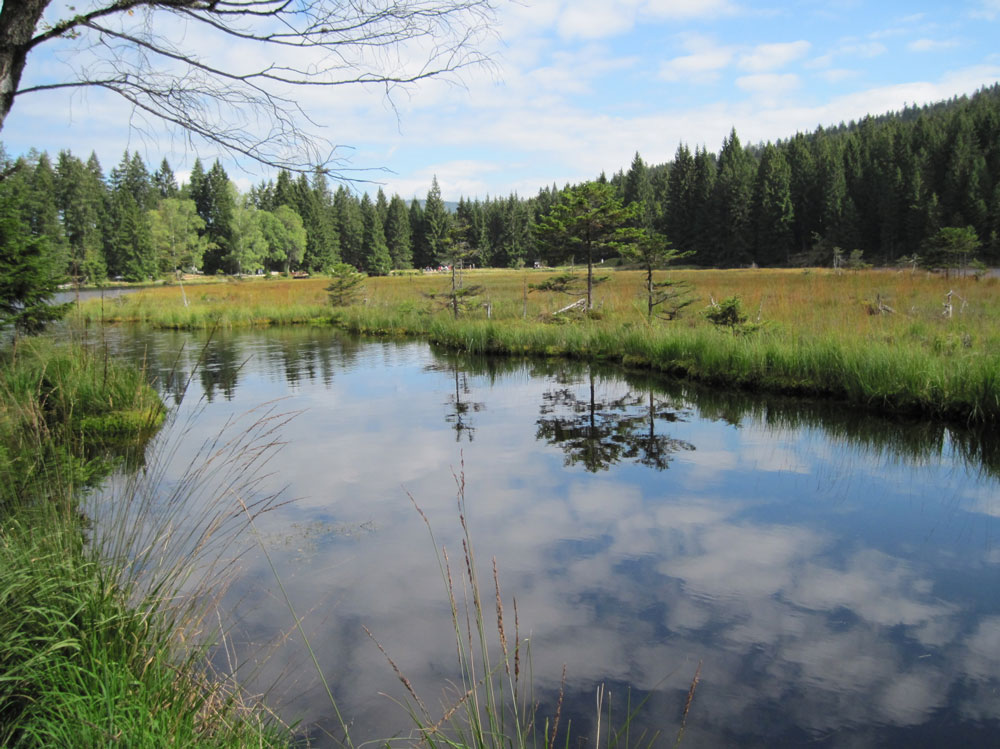 Kl.Arbersee