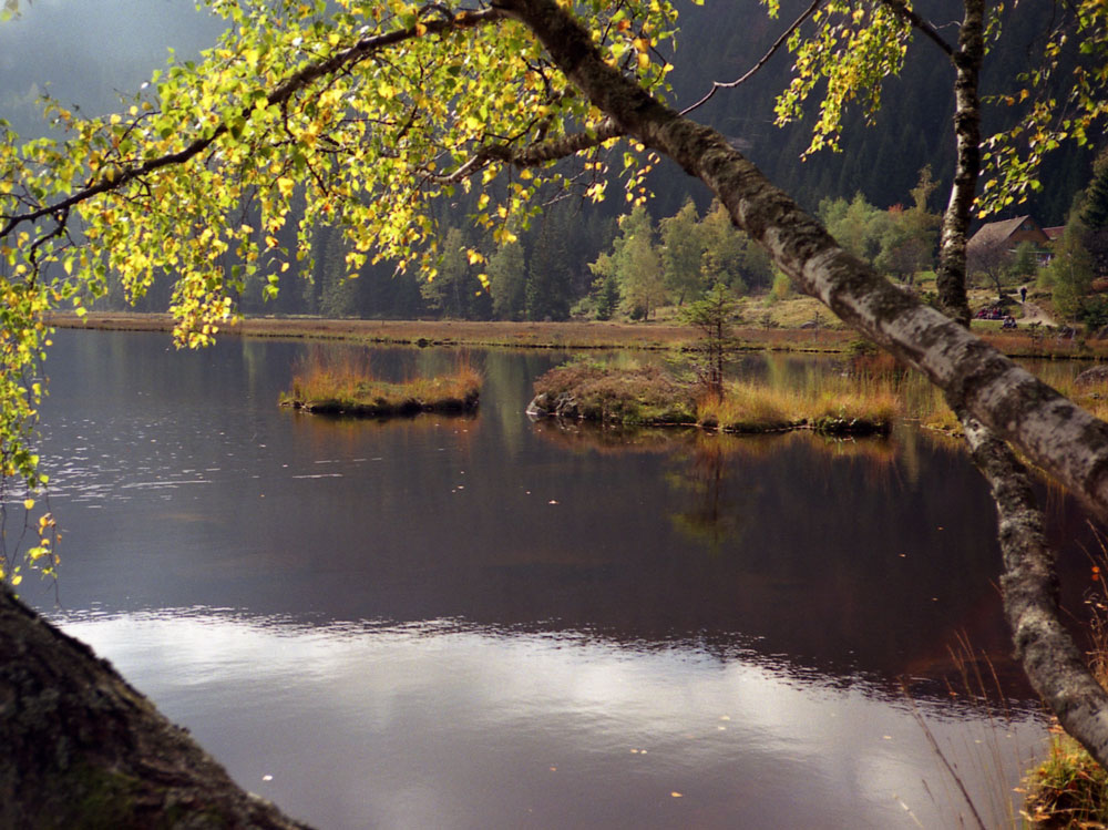 Kleiner-Arbeersee-Herbst-2007
