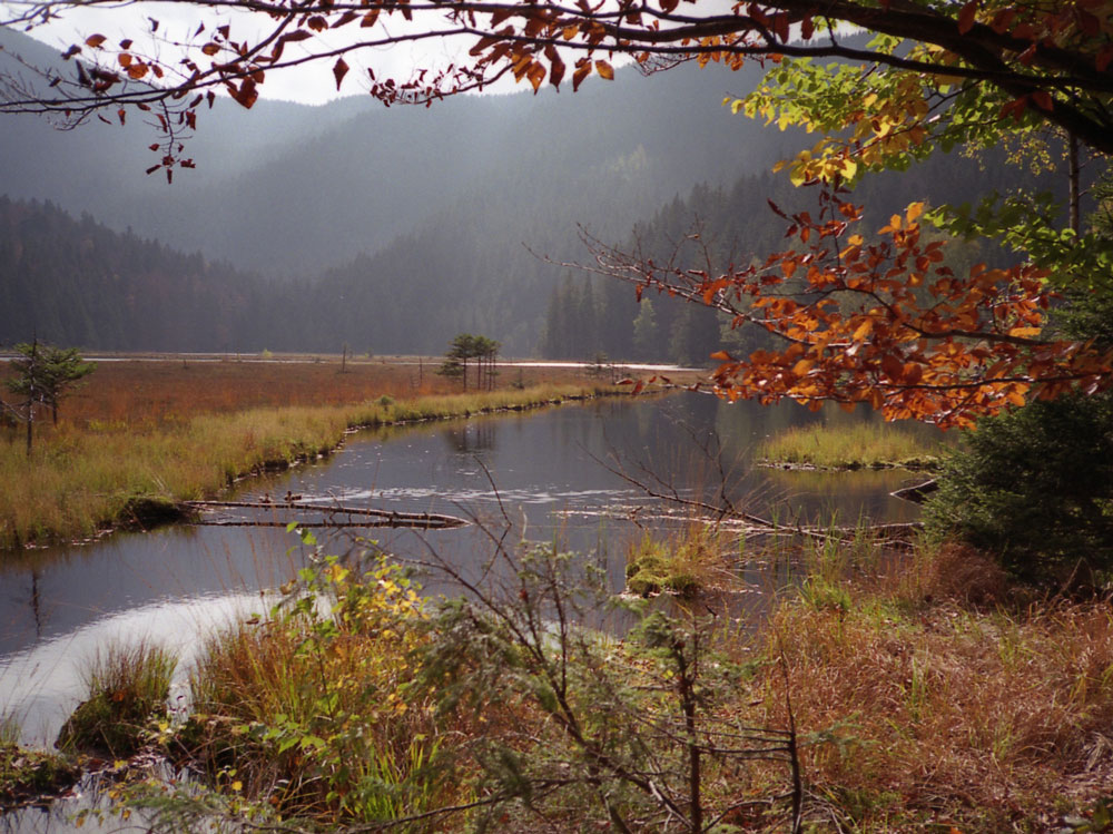 Kleiner-Arbersee-Herbst-2007