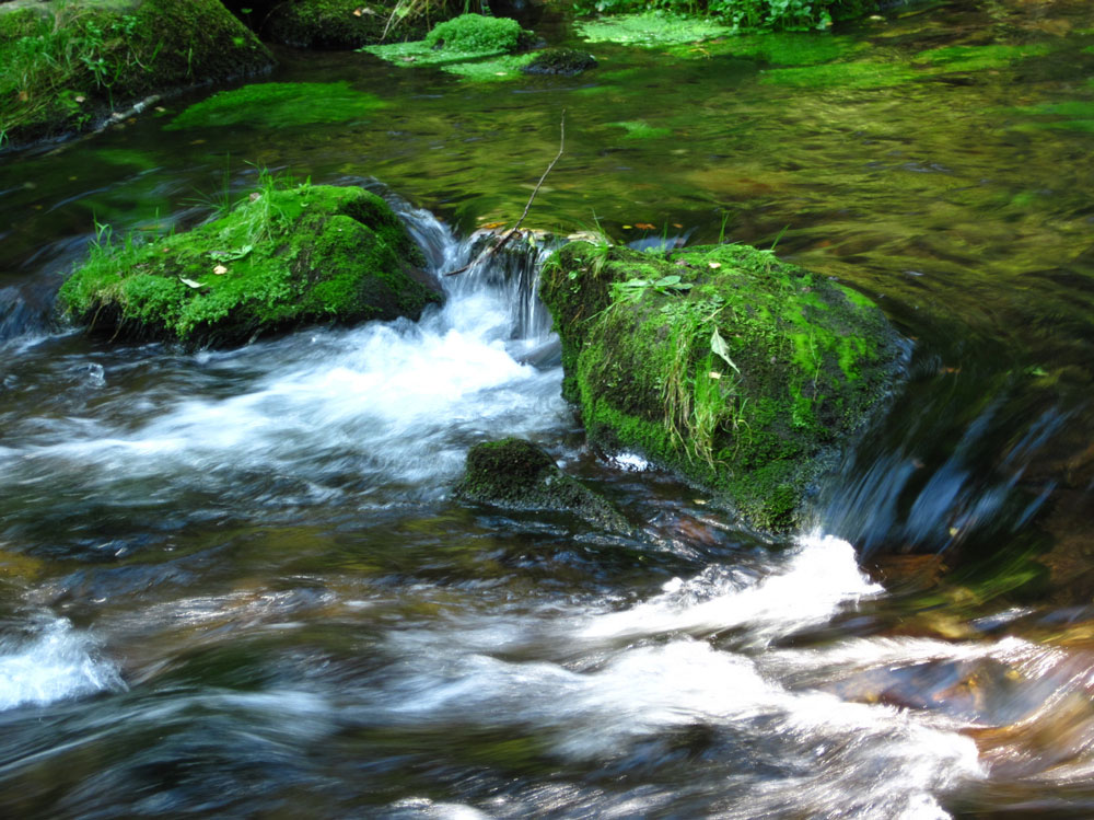 Regenwanderung